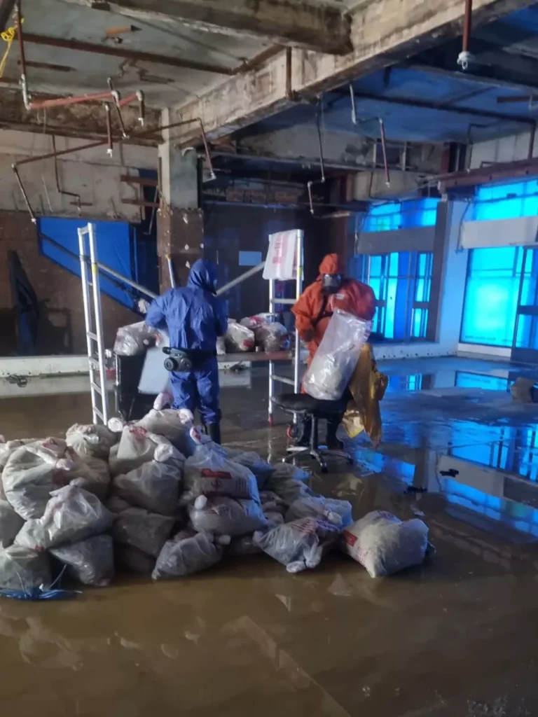 Licensed asbestos removalists performing Class A and B asbestos disposal at a Sydney site.