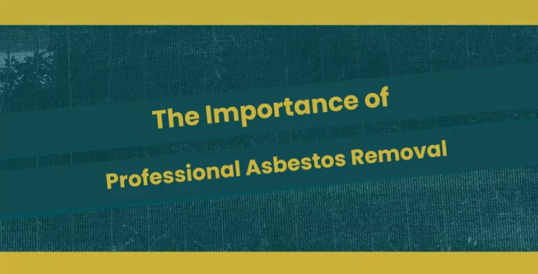 The Importance of Professional Asbestos Removal